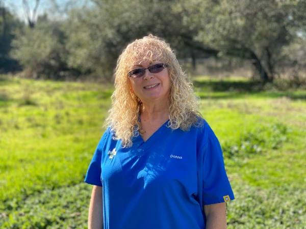 Donna Rapolla